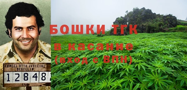 шишки Вязники