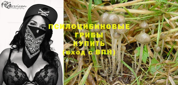 альфа пвп Надым