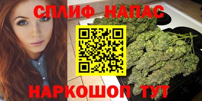 ECSTASY Будённовск