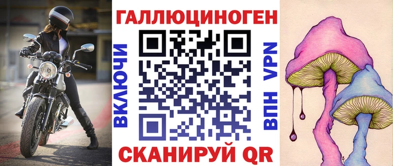 OMG сайт  Удомля  Псилоцибиновые грибы Psilocybine cubensis 