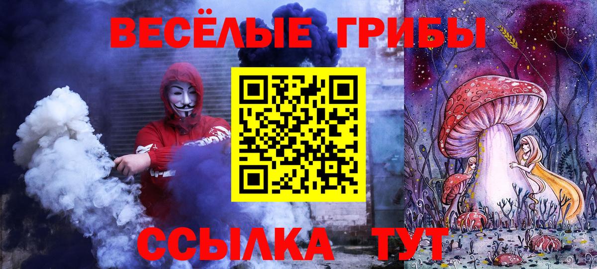Удомля  Псилоцибиновые грибы ЛСД  Вход с VPN 
